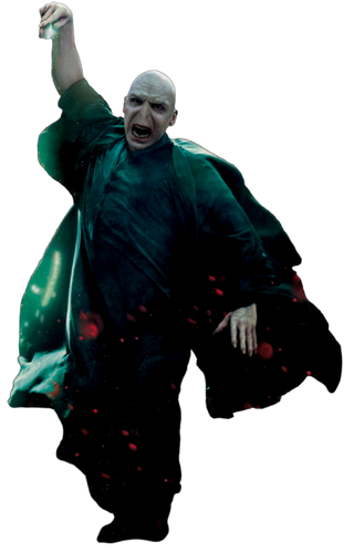 Lord Voldemort | Universal Pictures Wiki | Fandom