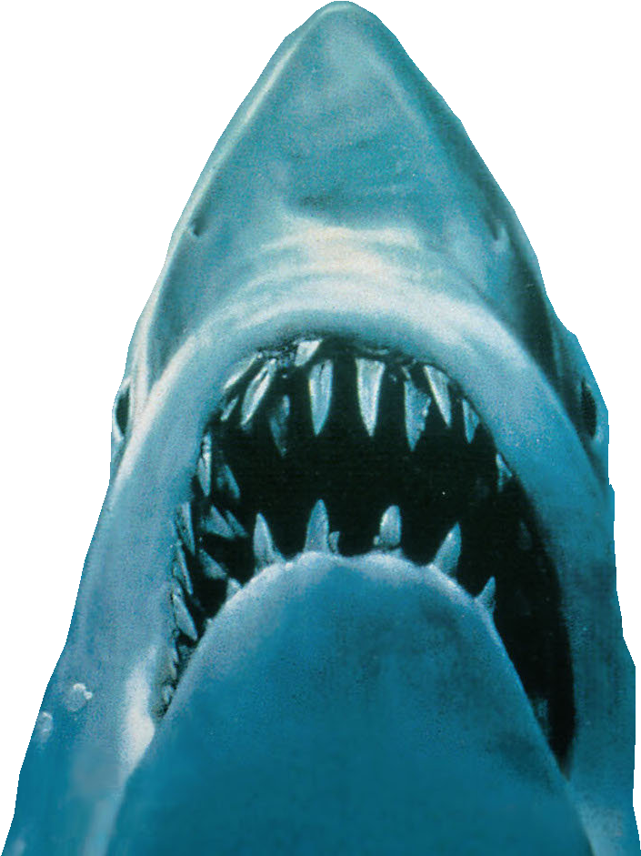 Great White Sharks | Universal Pictures Wiki | Fandom