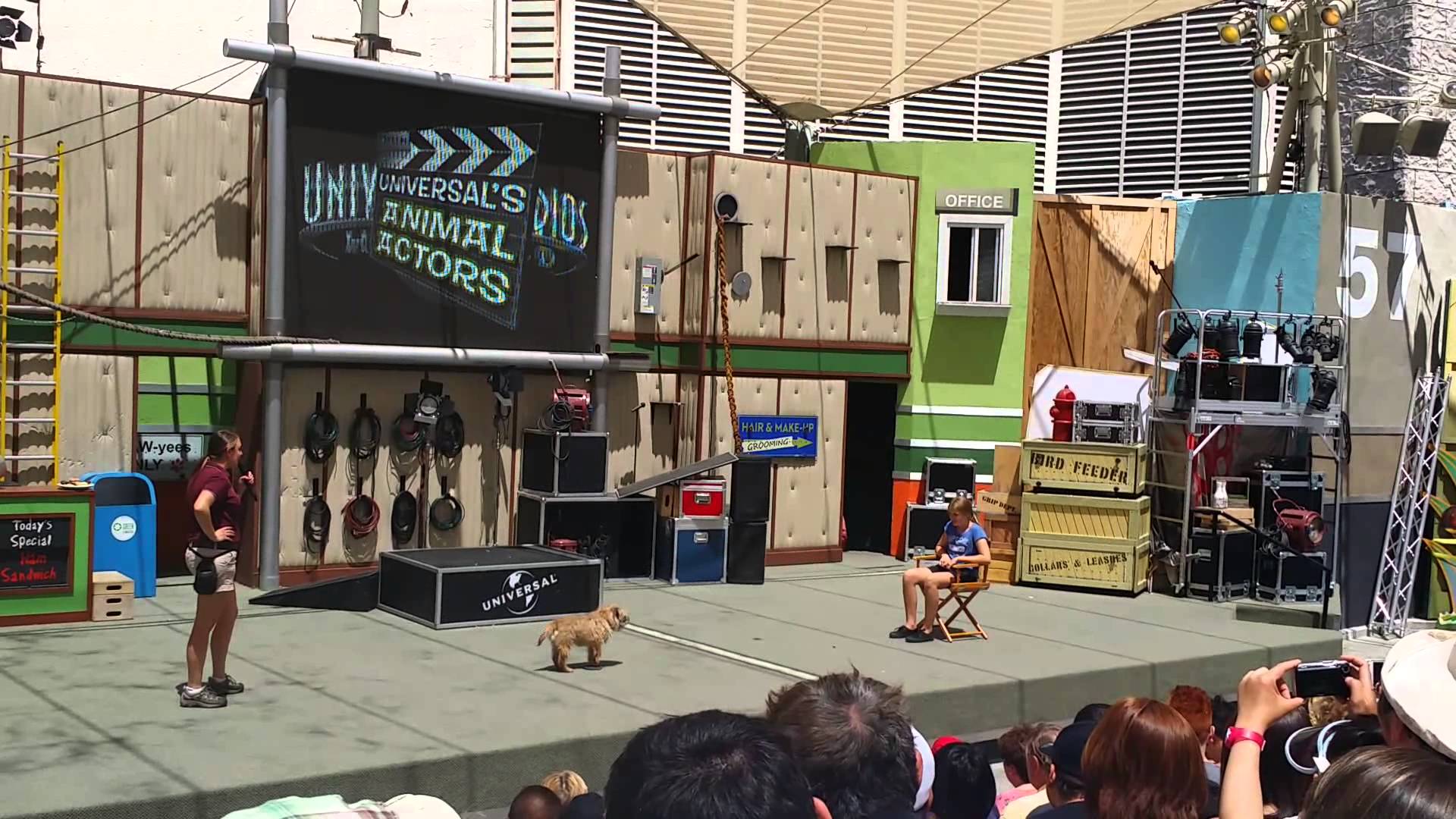 Animal studio. Анимал Студиос. Какие животные в Голливуде. Hollywood animal похожие. Animal actors on location Universal Studios Florida.