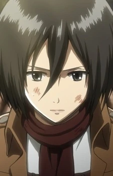 Mikasa Ackerman Universal Warriors Wiki Fandom