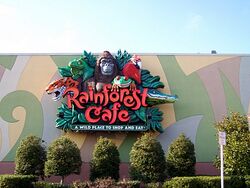 Rainforest Cafe, Princess Pictures Wiki