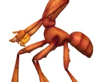 Z (Antz)