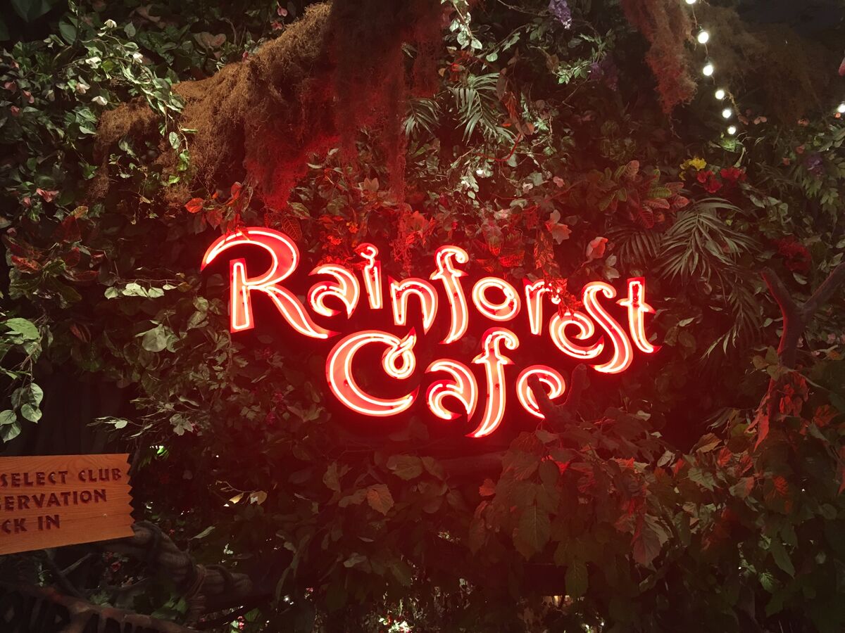 Rainforest Cafe, Princess Pictures Wiki