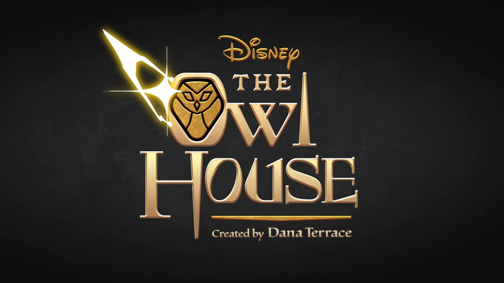 The Owl House Creator Dana Terrace Pirates Own Show Gets Called Out By Fans  On Twitter And Reddit