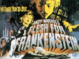 Andy Warhol's Frankenstein