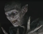 Dracula Last Voyage.jpg (43 KB) Dracula, the main antagonist of The Last Voyage of the Demeter