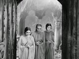 Brides of Dracula