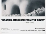 Dracula Has Risen from the Grave