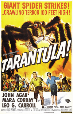 Tarantula