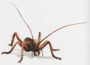 Weta-rex (King Kong)