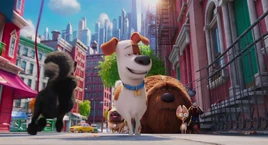 The Secret Life of Pets