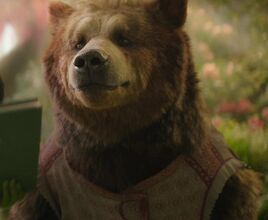 Dulcibear
