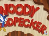 Woody Woodpecker (2018 series)