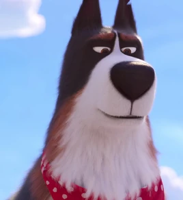 EgW8DZJWkAkxx1C.jpg-large