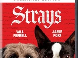 Strays (video)