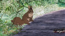 Watership Down Road