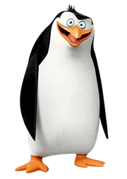 Rico the Penguin