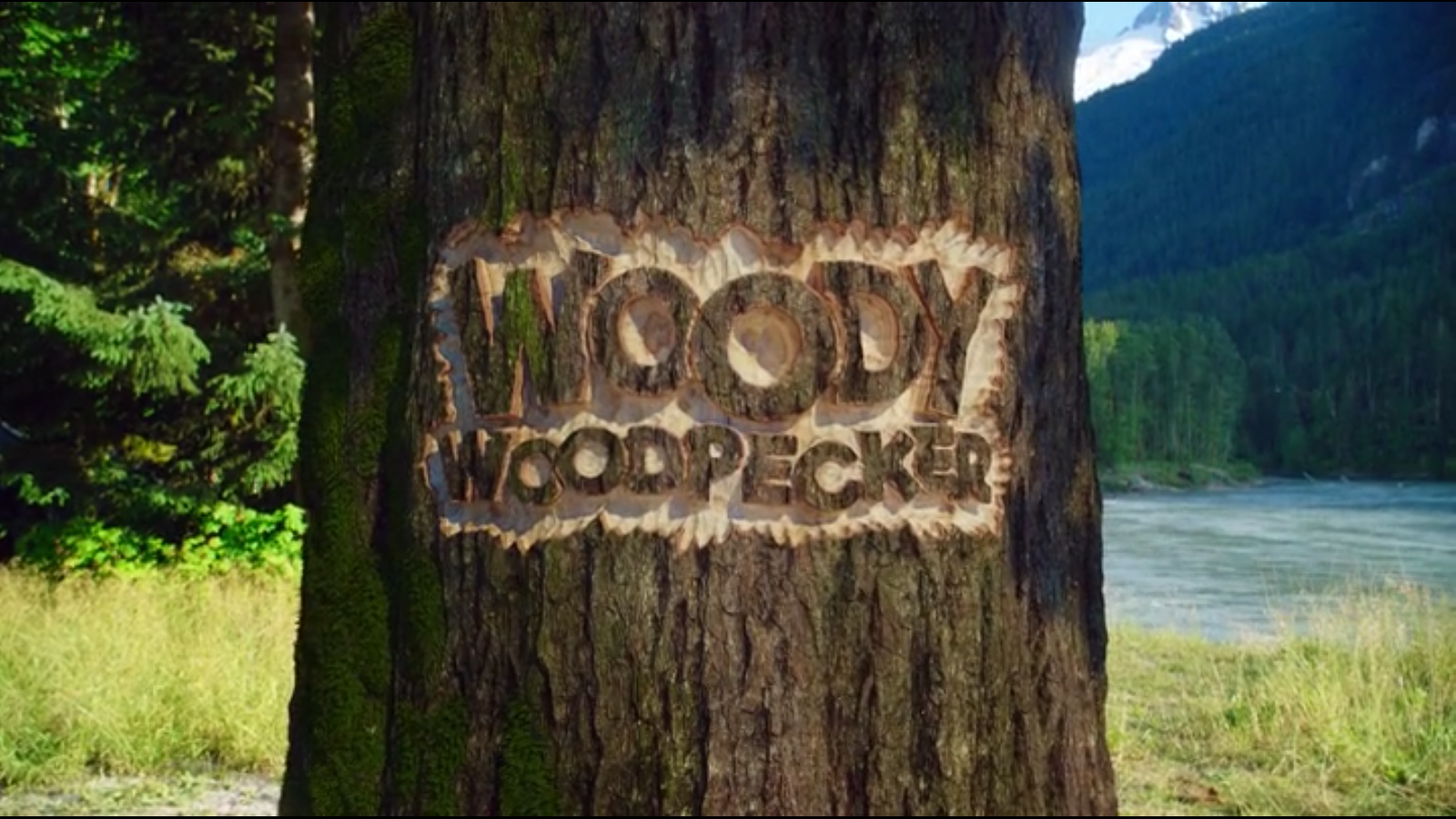 Woody discount woodpecker 2017