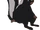 Skunk