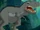 Gray Sharptooth