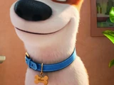 Max (The Secret Life of Pets)