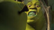Shrek-disneyscreencaps.com-78