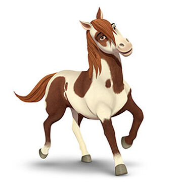Spirit boomerang horse sale