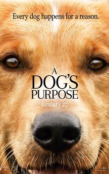 A Dog's Purpose (film).jpg