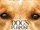 A Dog's Purpose
