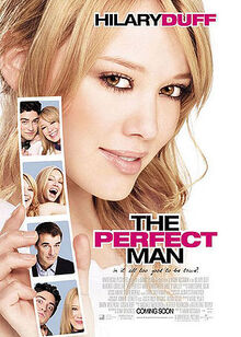 The-Perfect-Man-Poster