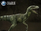 Charlie