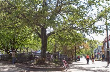 Findley plaza magnum