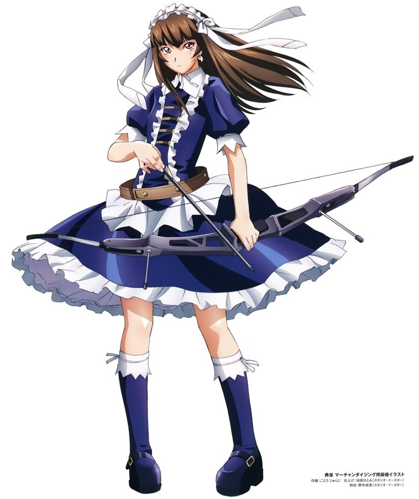 Teni, Ikkitousen Wiki