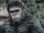 Caesar (Planet of the Apes)