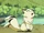 Kirara38.jpg