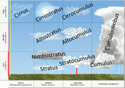 Cloud Heights