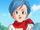 Bulma.png