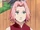 Sakurap2.png