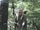 Legolas.jpg