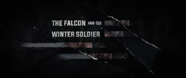 The Falcon and the Winter Soldier