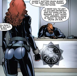 Diretor Fury ordena que a Agente Romanoff encontre Bruce Banner.