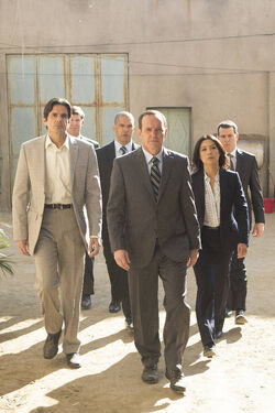 O time da S.H.I.E.L.D