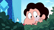 Steven's Dream 206