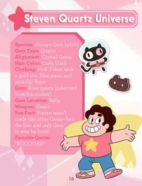 Ficha de Steven en 'Guide to the Crystal Gems'