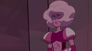 CYM (35)