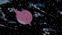 Ballena rose.png