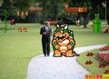 Bowser and bush