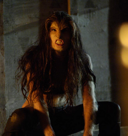 The WODC's Top 5 Favorite Werewolf Transformations — The Write or Die Chicks