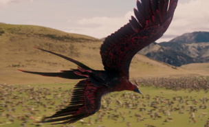 Phoenix.png