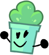 Planty